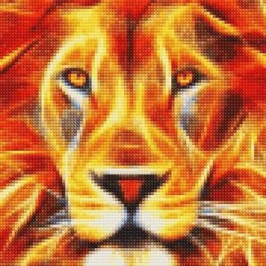 Meet your Posher, T-bone